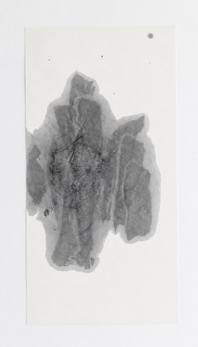 NLC-K-005